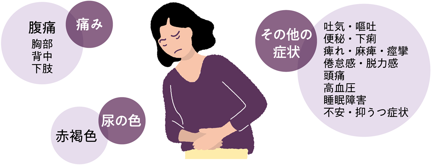 腹痛・背中痛・下肢痛・赤褐色の尿・吐気・便秘・下痢・痺れ・麻痺・痙攣・倦怠感・脱力感・頭痛・高血圧・睡眠障害・不安・抑うつ症状など、急性肝性ポルフィリン症（AHP）の多様な症状一覧