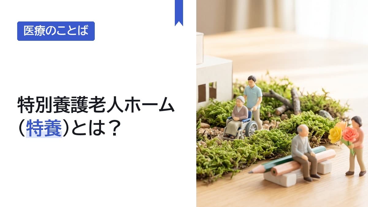 特養(特別養護老人ホーム)とは?入れる人と申し込み方